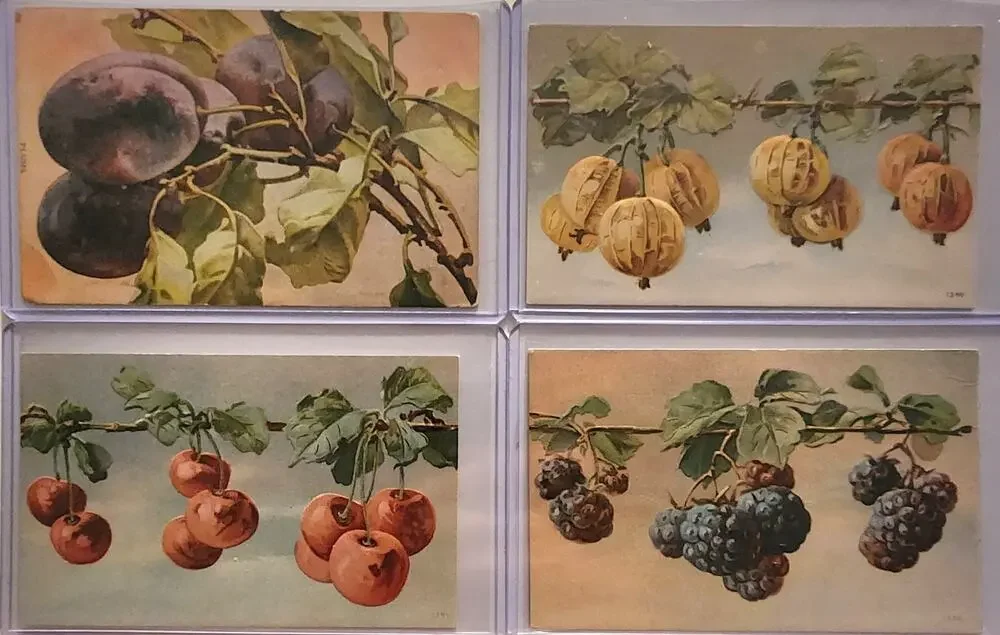 Lot Of Four Vintage Antique Embossed Postcards Fruit